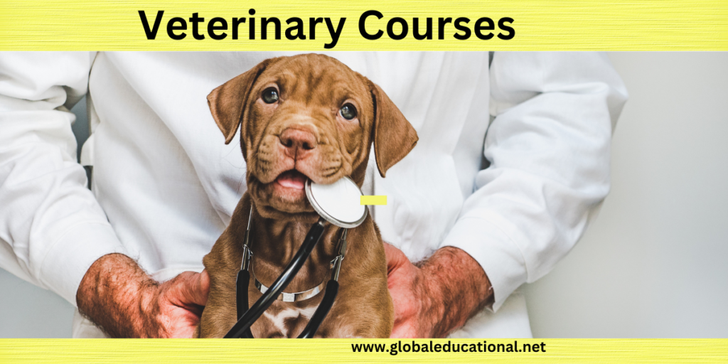 Fees for Veterinary Course
