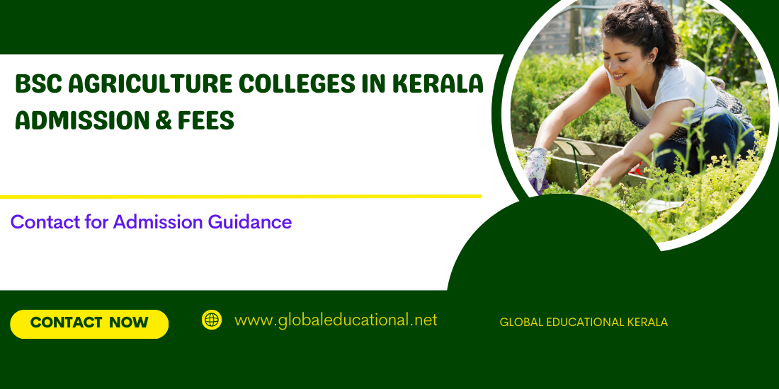study-in-india-global-educational