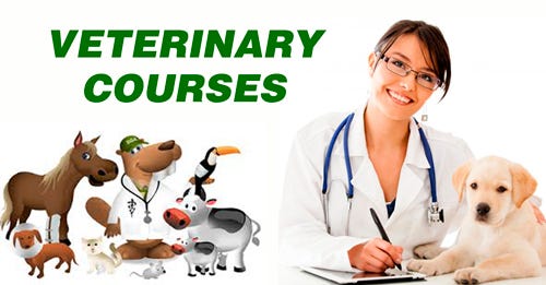 LIST OF TOP PRIVATE VETERINARY COLLEGES IN RAJASTHAN FEES